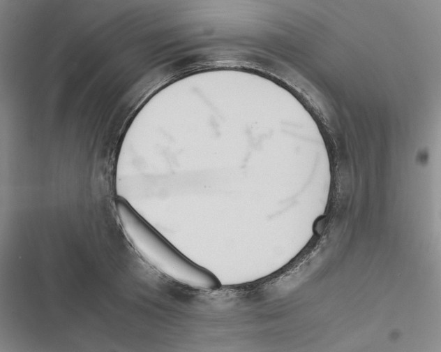 X0000116460801201001201259