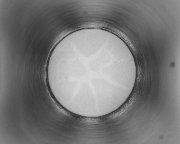 X0000116460802201001201259