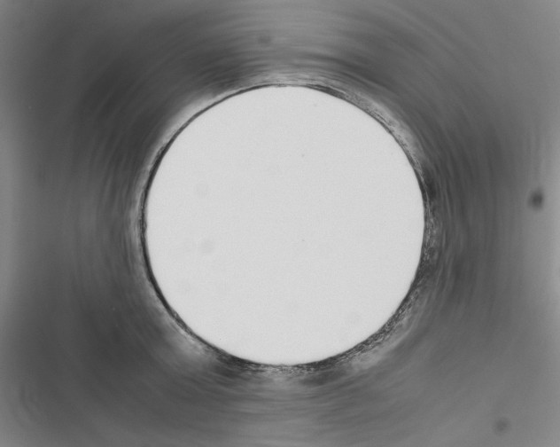 X0000116460803201001201259