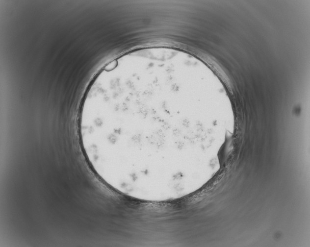 X0000116460805201001201259