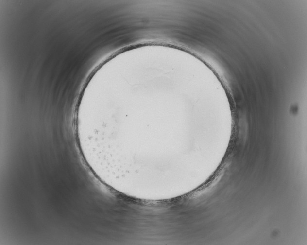 X0000116460807201001201259