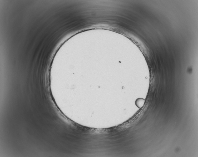 X0000116460808201001201259
