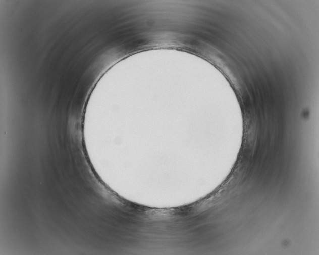 X0000116460810201001201259