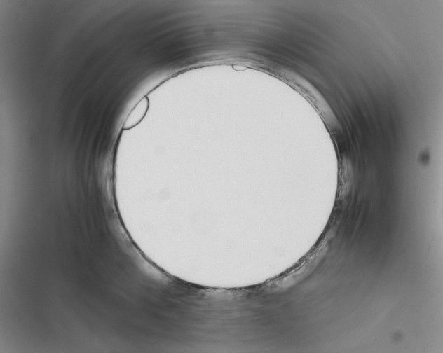X0000116460812201001201259