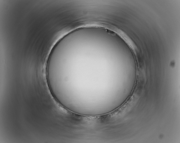 X0000116460813201001201259