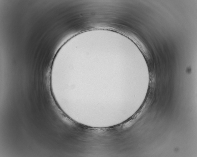 X0000116460814201001201259