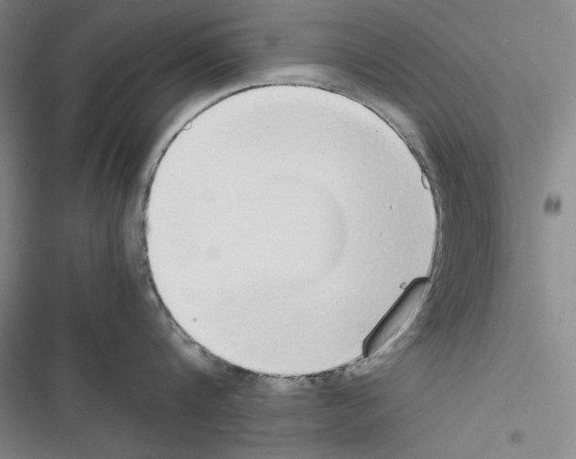 X0000116460816201001201259