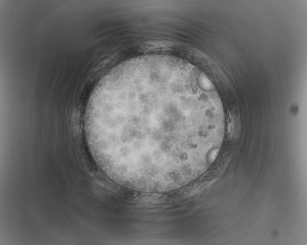 X0000116460819201001201258