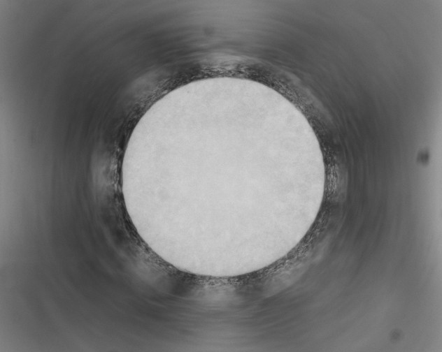 X0000116460820201001201258