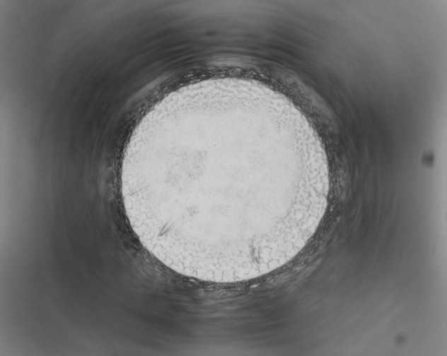 X0000116460821201001201258