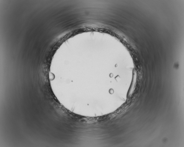 X0000116460822201001201258