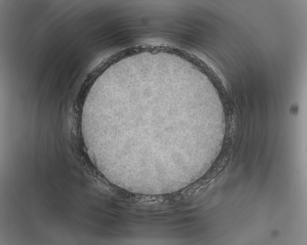 X0000116460823201001201258