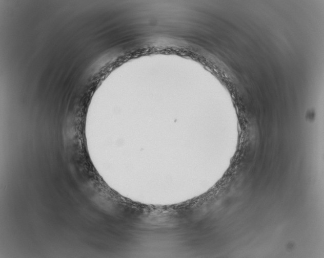 X0000116460824201001201258