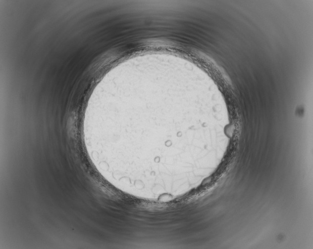 X0000116460825201001201258