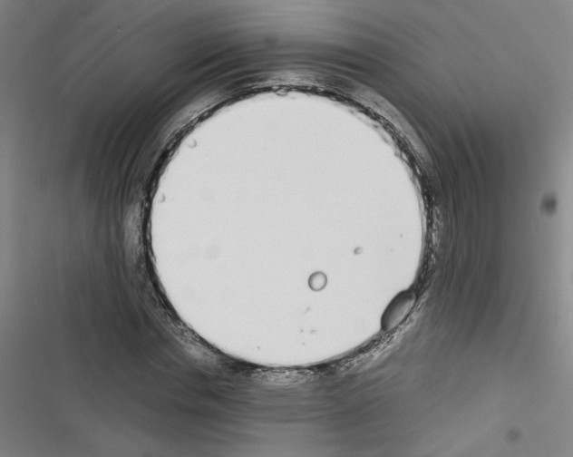 X0000116460826201001201258