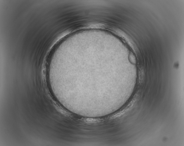 X0000116460827201001201258