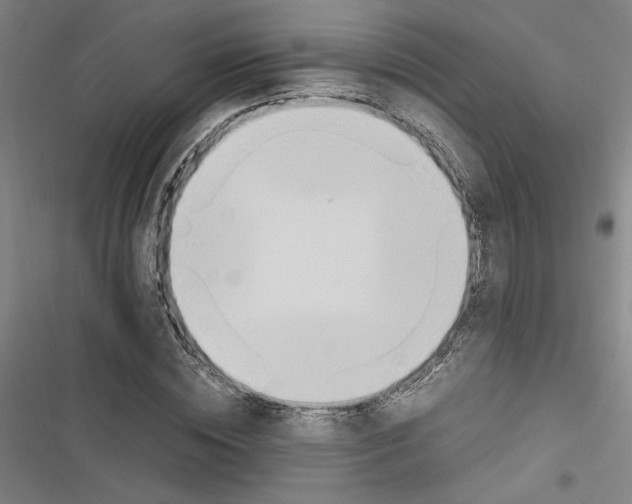 X0000116460828201001201258