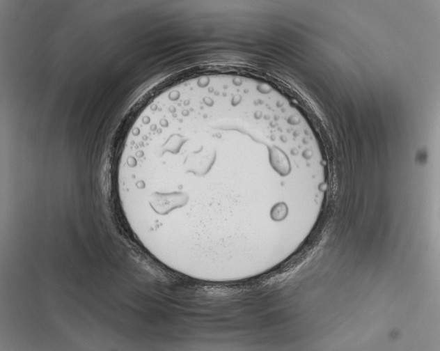 X0000116460829201001201258
