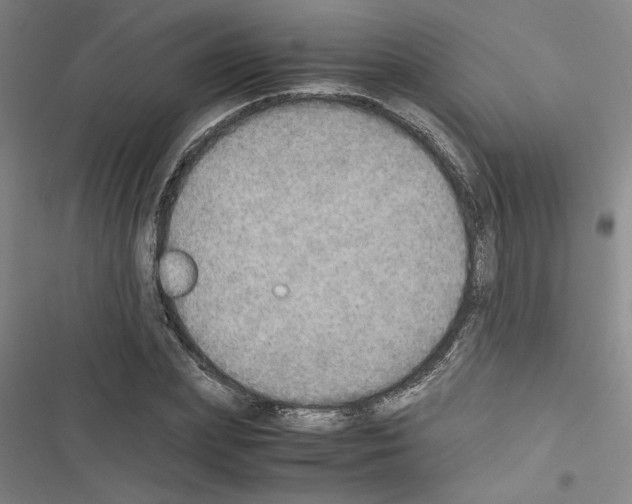 X0000116460831201001201258