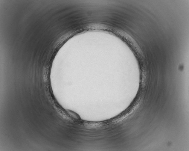 X0000116460833201001201258
