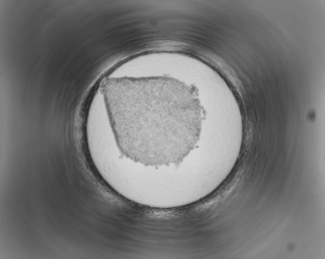 X0000116460835201001201258