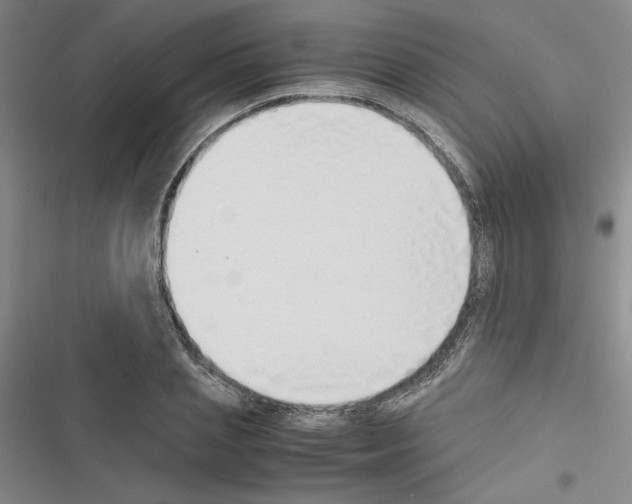X0000116460837201001201258