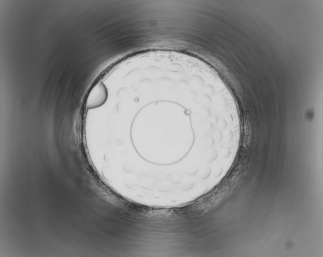 X0000116460838201001201258