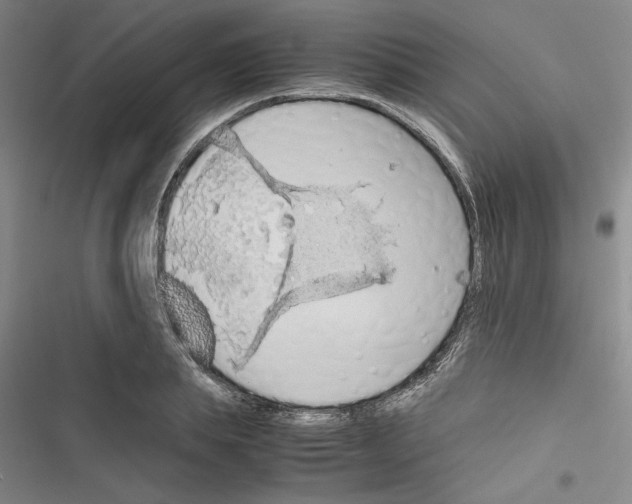 X0000116460839201001201258