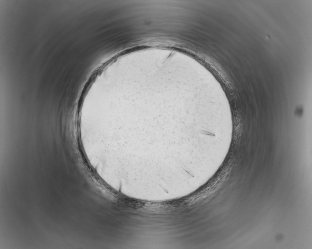 X0000116460840201001201258