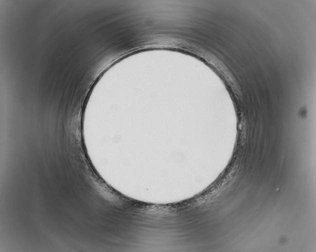 X0000116460842201001201258