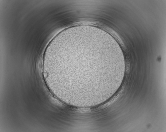 X0000116460844201001201258