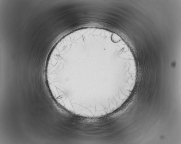 X0000116460845201001201258