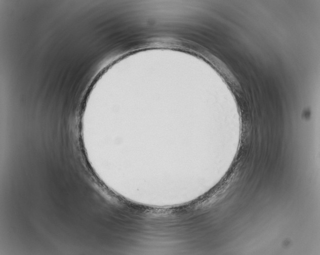 X0000116460846201001201258
