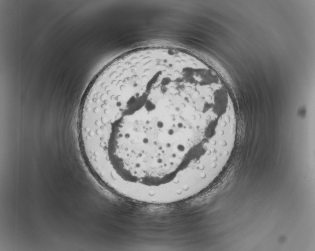 X0000116460847201001201258