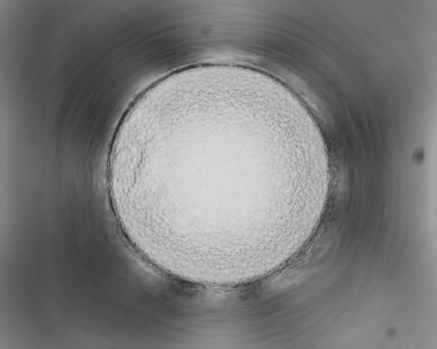 X0000116460848201001201258
