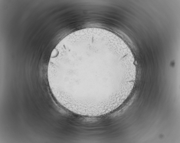 X0000116460849201001201258