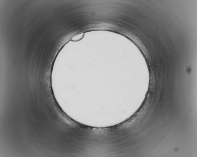 X0000116460850201001201258