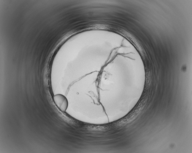 X0000116460851201001201259