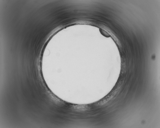 X0000116460853201001201259