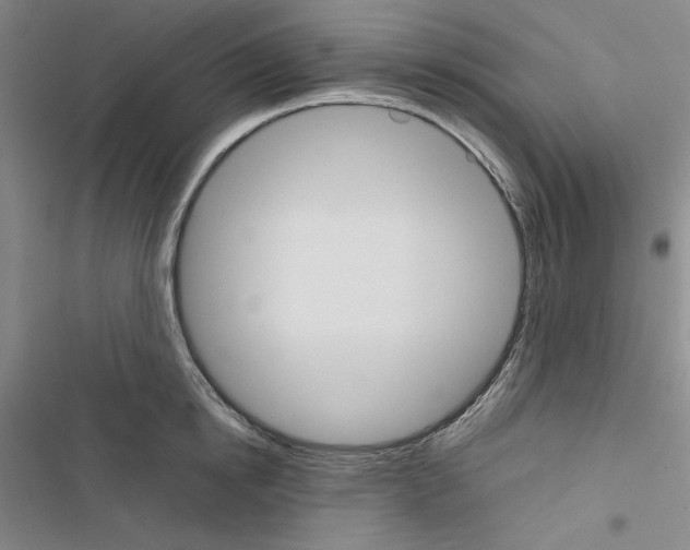 X0000116460854201001201259
