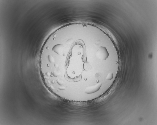 X0000116460855201001201259