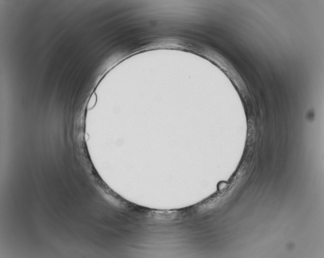 X0000116460858201001201259