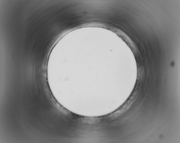 X0000116460860201001201259
