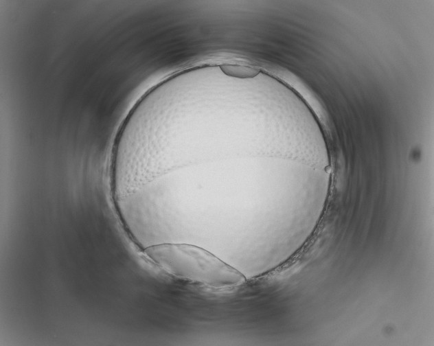 X0000116460861201001201259