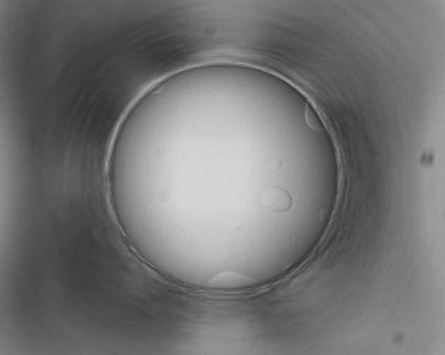 X0000116460864201001201259