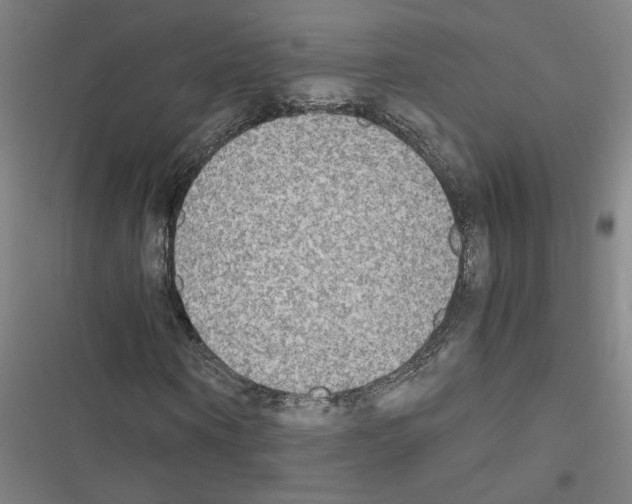 X0000116460866201001201258