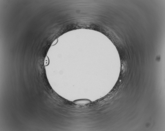 X0000116460867201001201258