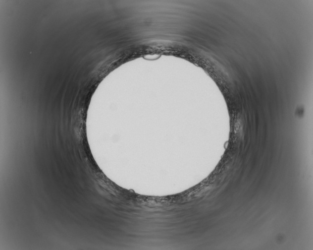 X0000116460868201001201258