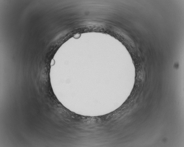 X0000116460869201001201258