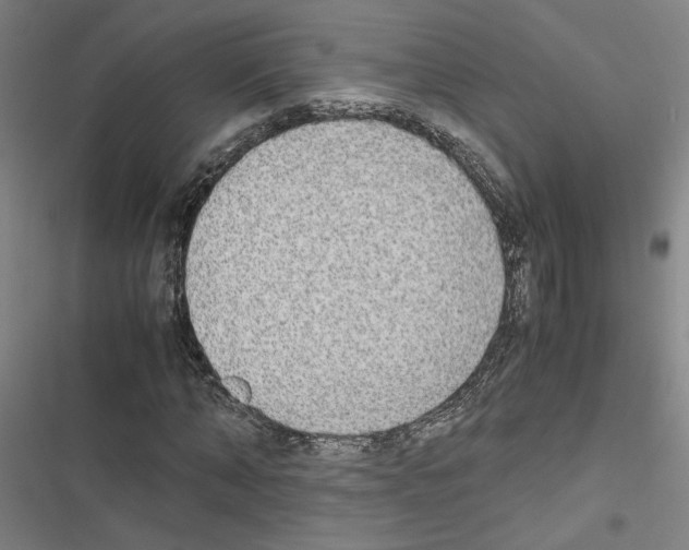 X0000116460870201001201258